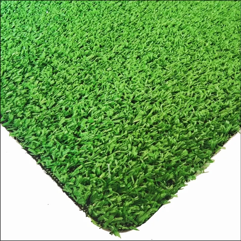 See More About Trawa dywanowa cg8