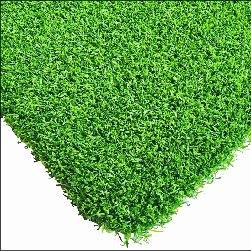 Trawa golfowa (GG15)